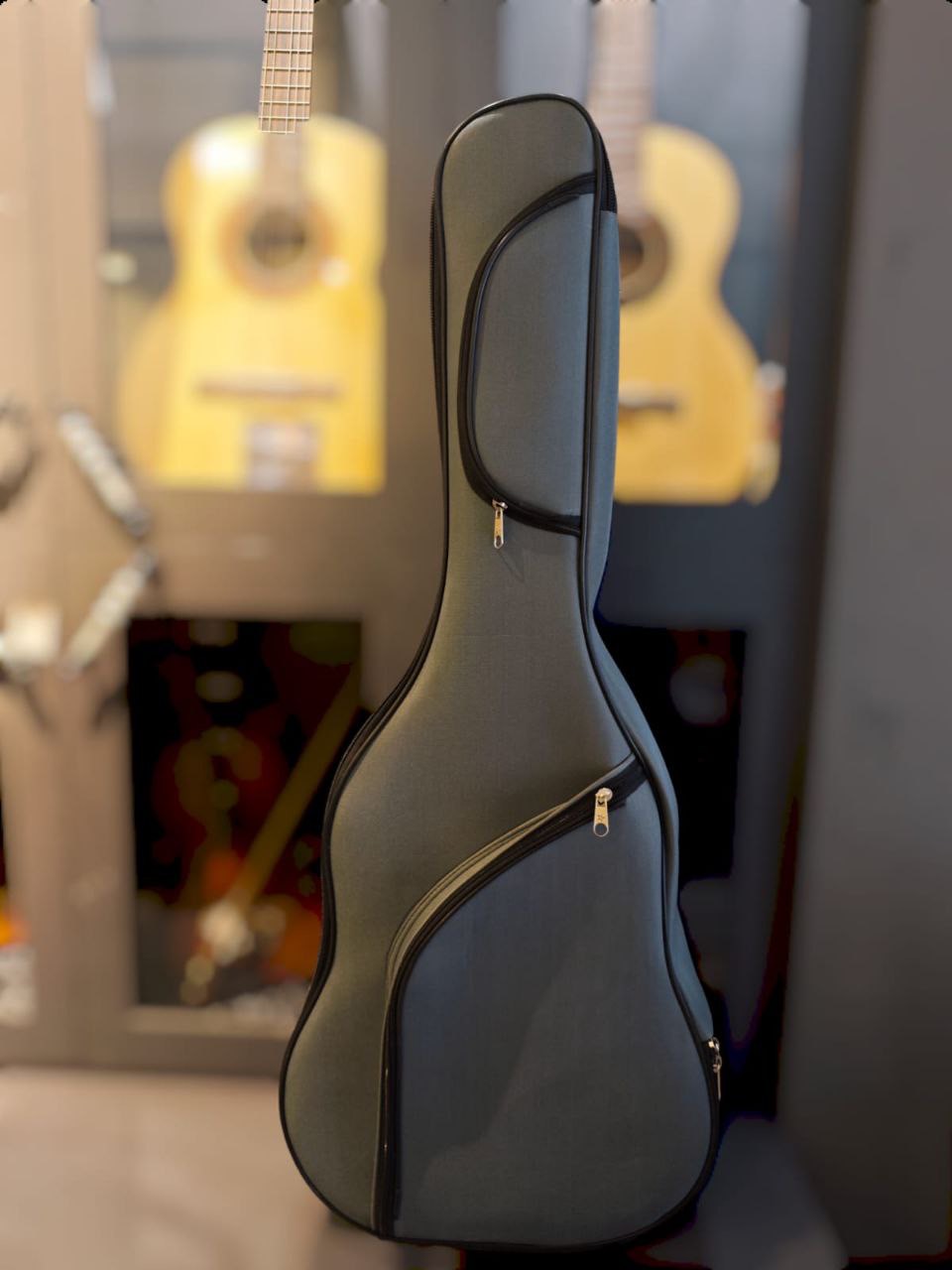 Guitar Case 3